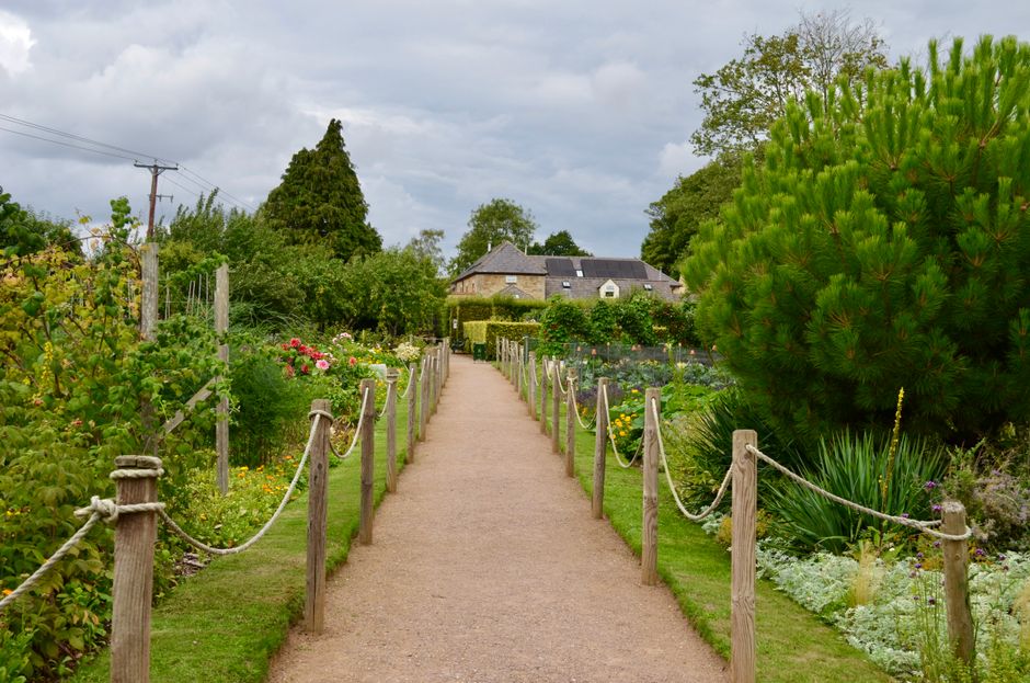 A serene pathway lined with greenery and flowers leading to a charming countryside cottage on a cloudy summer day.